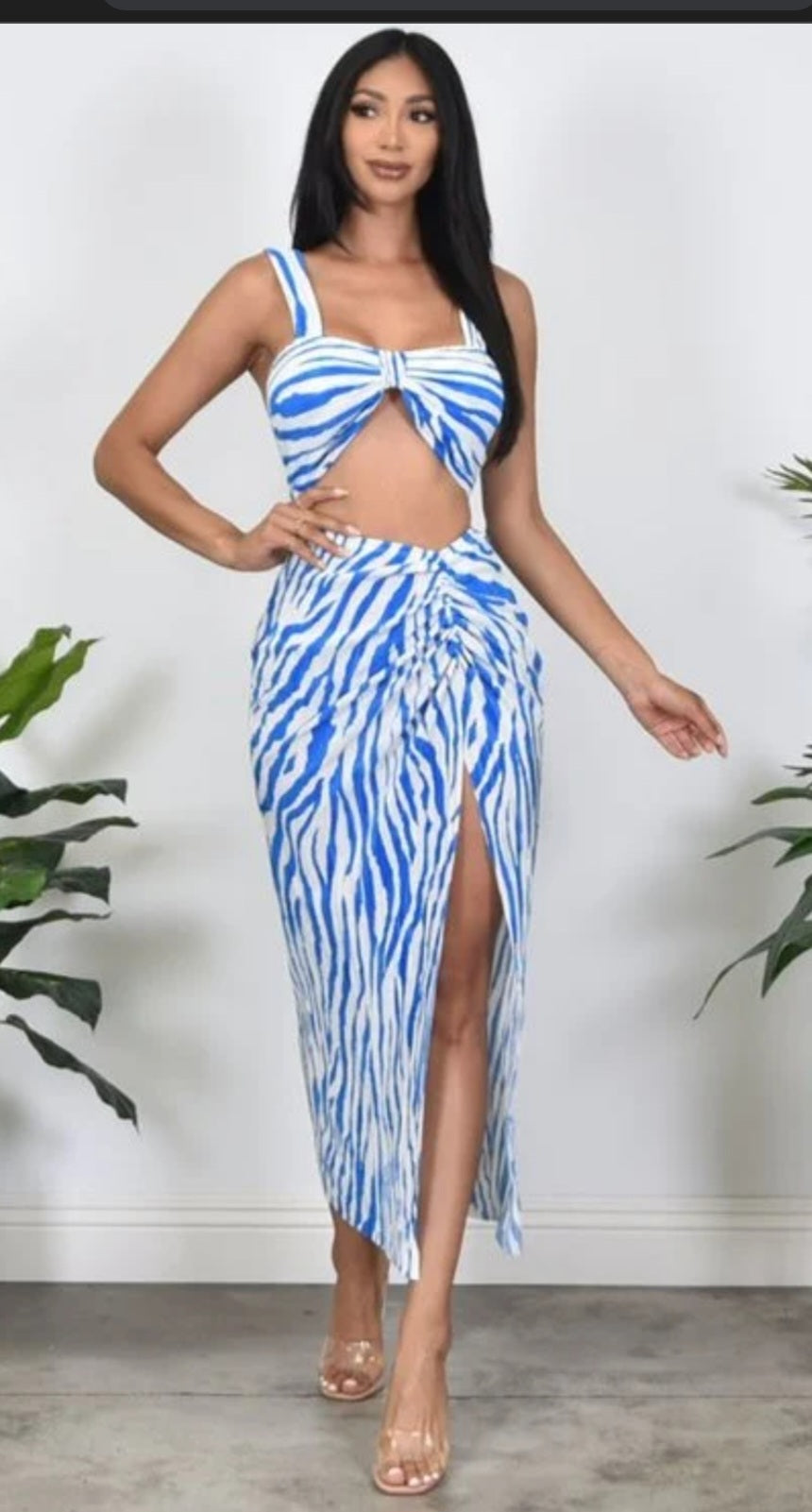 2 piece zebra print